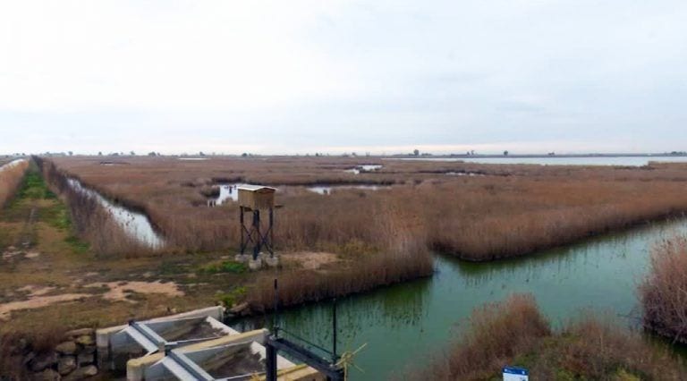 delta-de-lebre-ebre