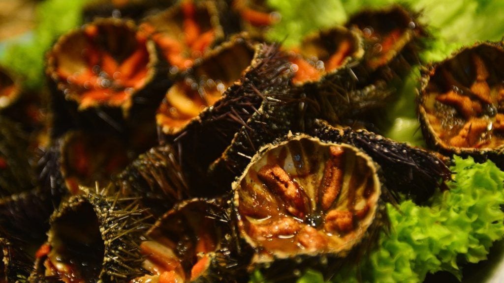 Denuncien tretze mariscadors per l’extracció il·legal de més 3 tones de garoines