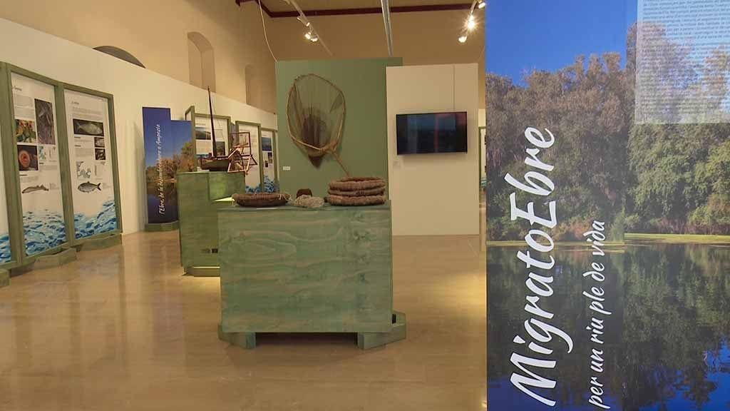 Entrada de l'exposició 'Migratoebre'