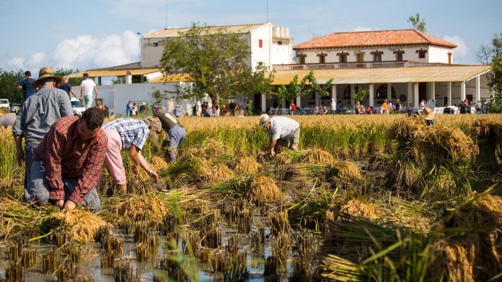 Foto: Ajuntament de Deltebre