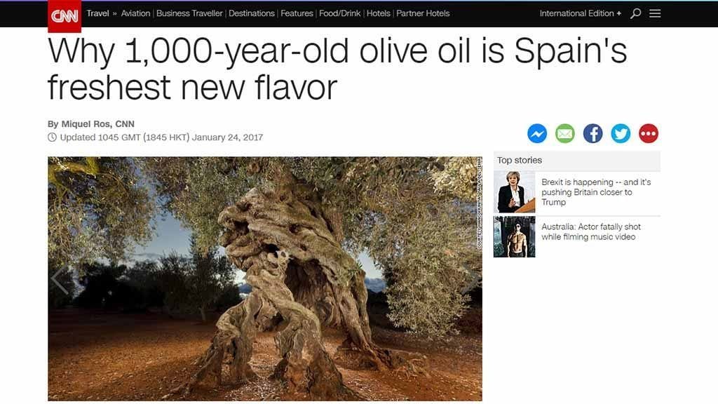 LA CNN parla de l’oli d’oliveres mil·lenàries del Montsià Titular del reportatge de Miquel Ros /CNN