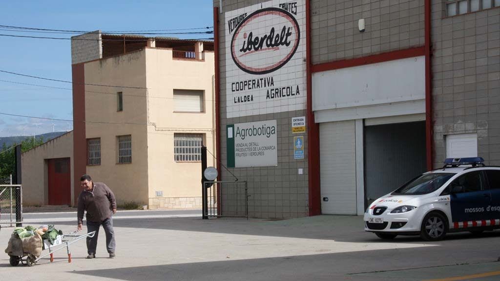 Instal·lacions de la Cooperativa de l'Aldea durant un registre dels Mossos d'Esquadra el passat 2013 / ACN