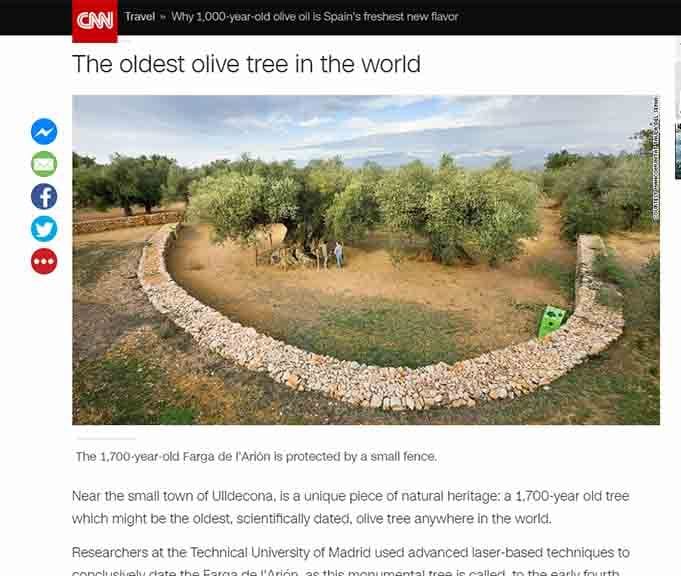 cnn.jpg