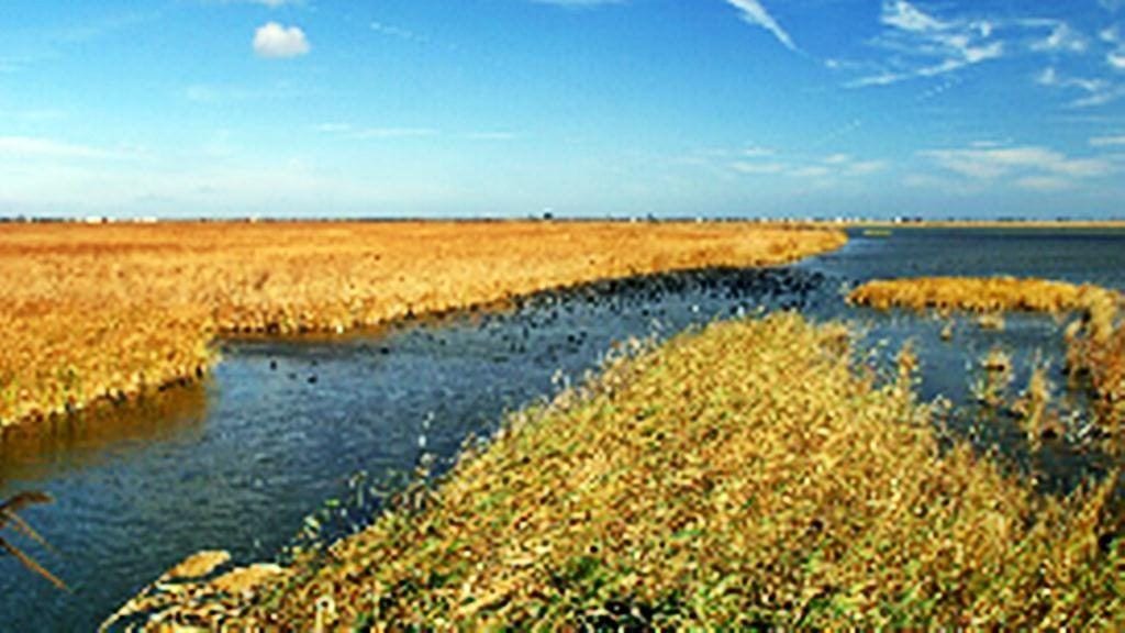 Clot de l'Encanyissada. Parc Natural del Delta de l'Ebre /Mariano Cebolla.