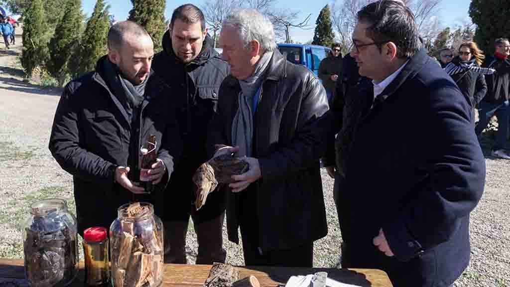 oli ginebre 1.jpg