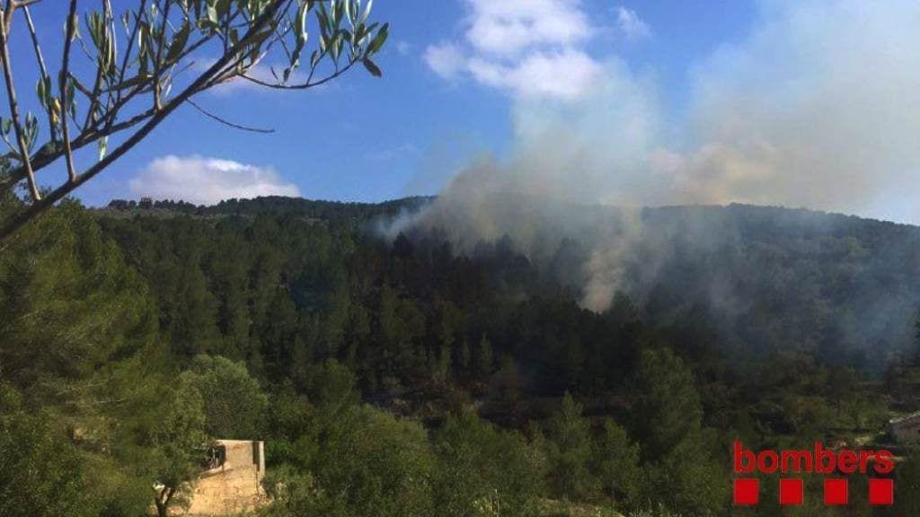 L'incendi ha cremat mitja hectàrea/ Bombers