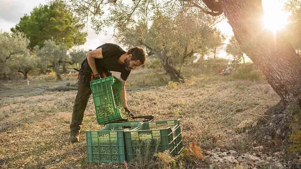 El turisme rural de l’Ebre es torna a promocionar en una nova edició de Benvinguts a Pagès