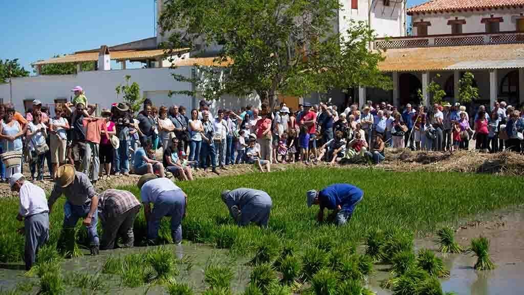 La Finca Bombita / Cedida