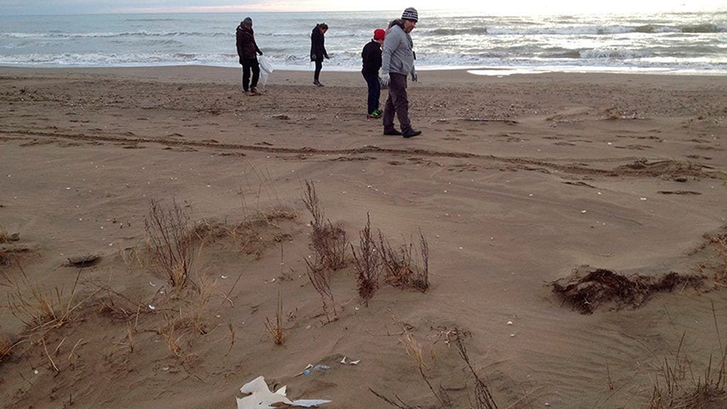 El delta de l’Ebre col·labora en un projecte europeu per analitzar la brossa marina
