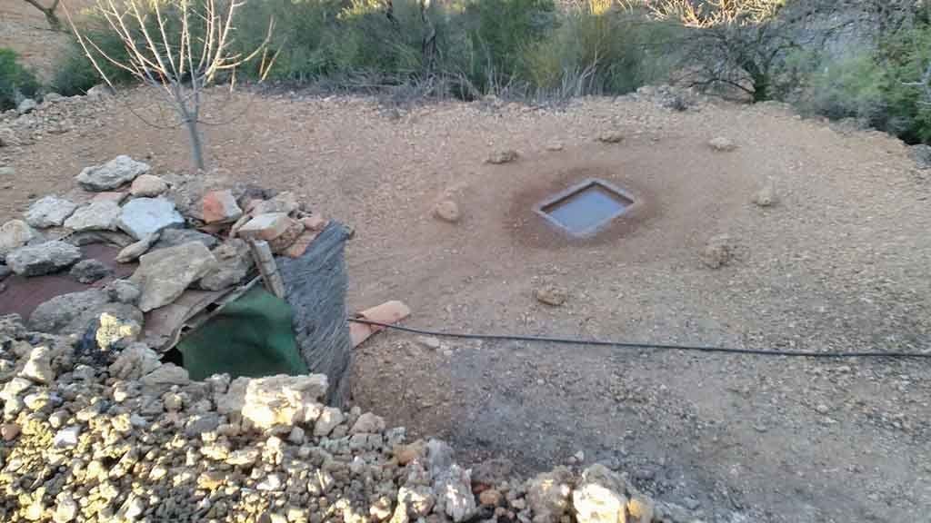 Denuncien un home per caçar espècies protegides d’ocells a Godall