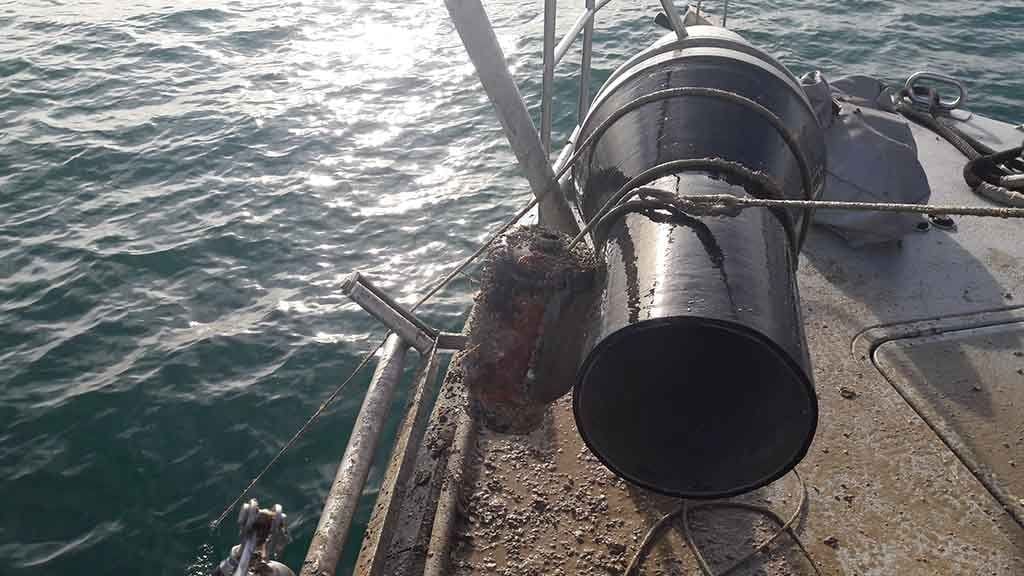 Es comissen més de 150 cadups sense identificar al delta de l’Ebre