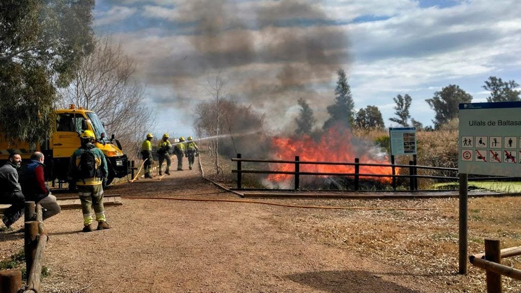 Cremen bancals de senill al voltant de les basses del Delta per facilitar la nidificació