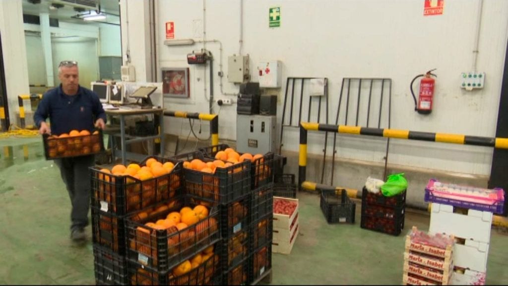 De l’hort al consumidor, en menys d’un dia a l’Aldea