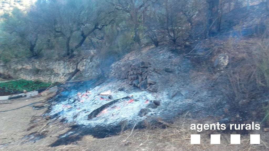 Extingits dos petits incendis de vegetació a Vinebre i Alcanar en una tarda