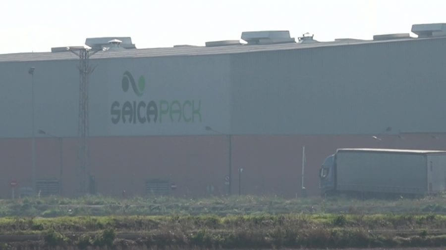Vaga a la paperera Saica Pack d’Amposta, l’antiga Dapsa