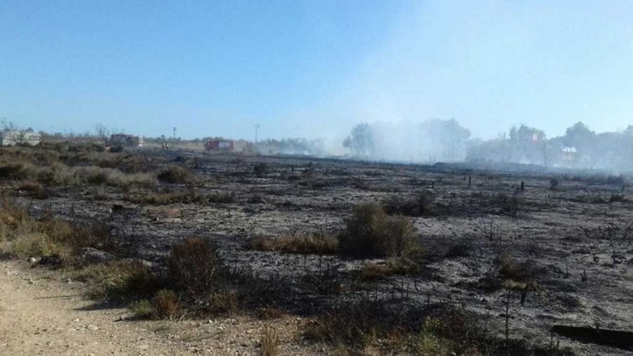 Un incendi a Deltebre crema una zona de vegetació a Riumar