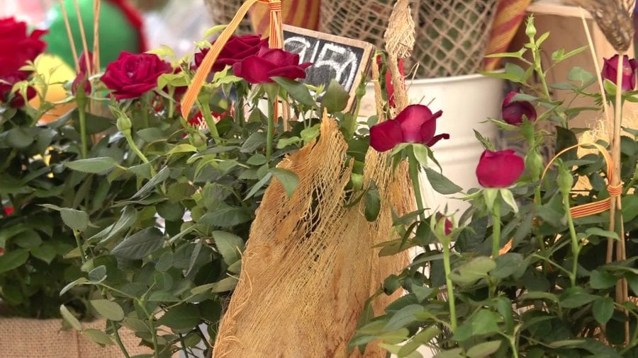 Les roses roges continuen sent les més venudes