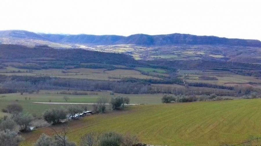 Agricultura abona els ajuts directes de la PAC del 2019 per un import de 214 MEUR