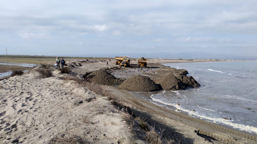Costes mou sorra des del Fangar per reforçar un tram de la platja de la Marquesa, al delta de l’Ebre