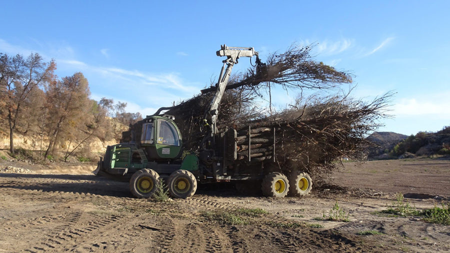 Agricultura finalitza els treballs forestals als boscos afectats per l’incendi de la Ribera d’Ebre de 2019