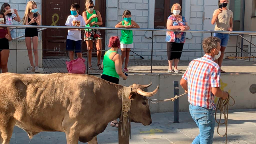 La Generalitat arxiva la denúncia dels animalistes per una passejada de mansos a Santa Bàrbara