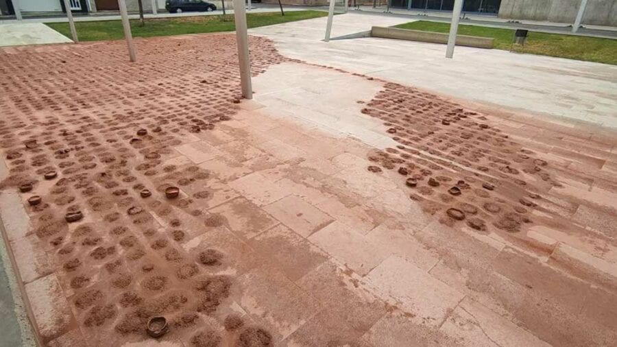 Metàfora final, i casual, del projecte Sediments d’Aula al Pati