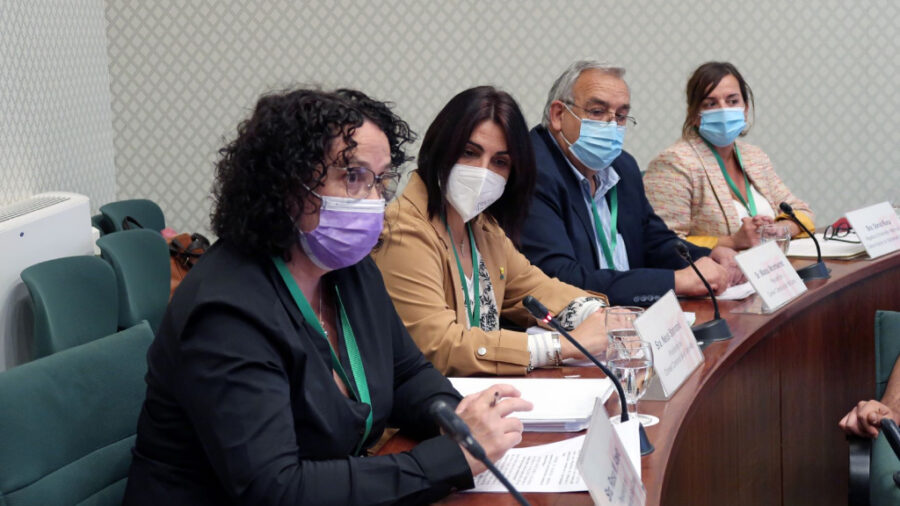 Neus Sanromà defèn la postura contra la MAT a la Comissió del Parlament de Catalunya