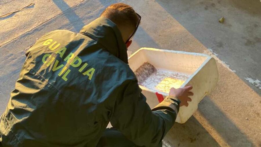 Guàrdia Civil i Mossos d’Esquadra realitzen inspeccions de pesca fraudulenta al Delta de l’Ebre