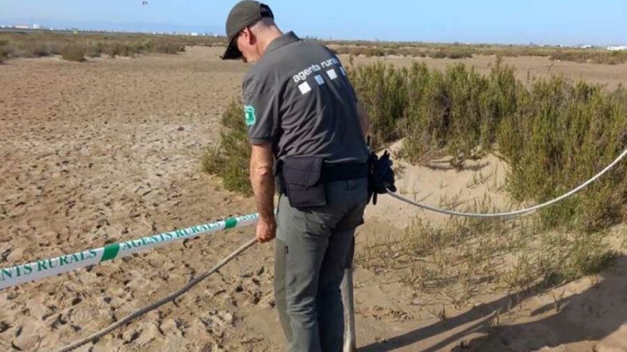 El Govern convoca 20 places més de sotsinspector per reforçar l’estructura de comandament dels Agents Rurals
