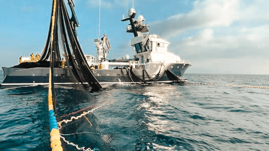 Balfegó inicia la campanya anual de pesca de la tonyina roja amb 300 nous llocs de treball directes