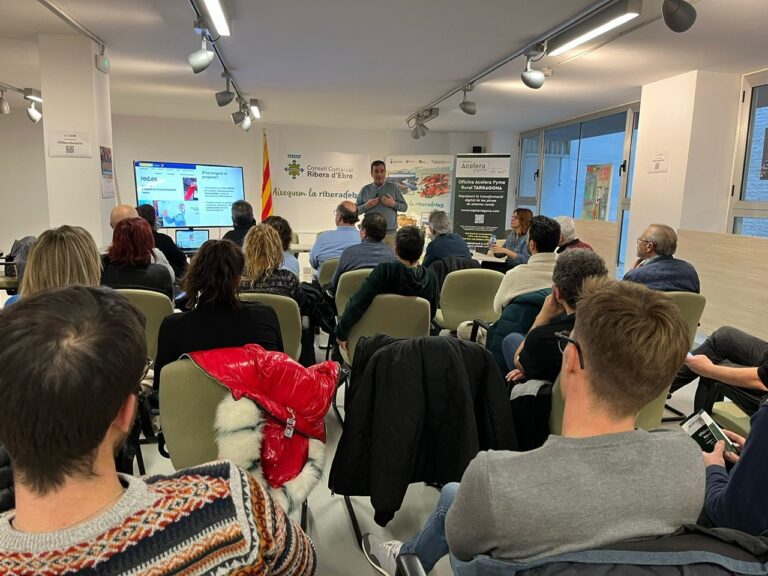 Nou servei per impulsar la transformació digital de les empreses i autònoms de la Ribera