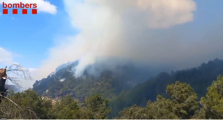 Controlat l’incendi de Gandesa, que ha afectat unes 2,2 hectàrees