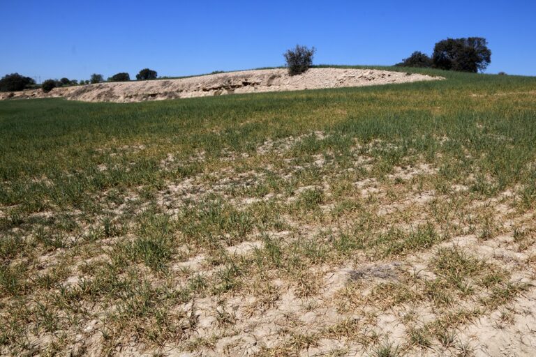 Les cooperatives catalanes alerten que, sense aigua, perillen les produccions de la majoria d’aliments i demanen ajuts