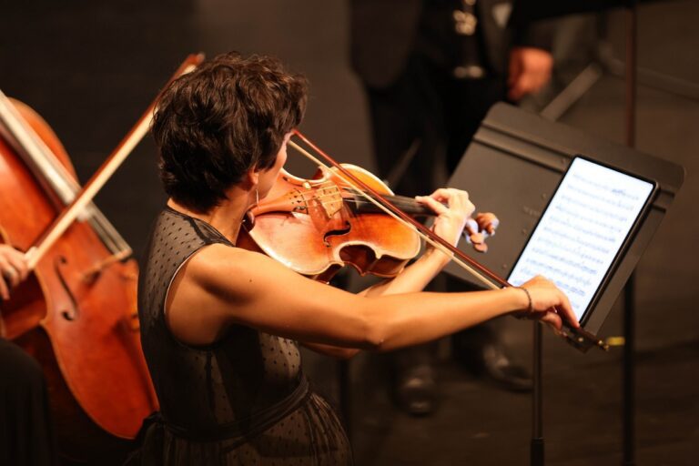 DeltaChamber Music Festival estarà present a les quatre comarques ebrenques del 20 de juliol al 6 d’agost