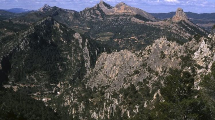 #28M: Carles Luz proposa la declaració de Bé d’Interès Paisatgístic les faldes de les serralades de Pàndols i Cavalls per evitar la invasió de macroparcs eòlics