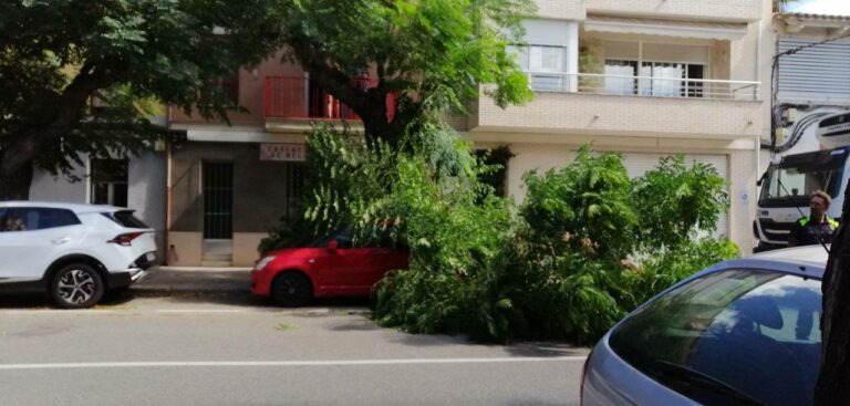La maniobra d’un camió a Roquetes parteix i fa caure un arbre damunt d’un vehicle estacionat