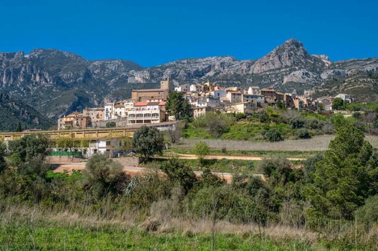 L’Ajuntament d’Alfara de Carles desmenteix haver-se gastat 39.000 euros només en bous: “Aquest és el pressupost per a festes per a tot l’any”