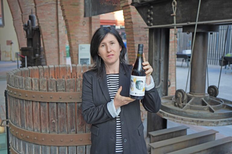 Un celler de la DO Terra Alta portarà el seu vi a la Festa del Vi Novell d’aquest dissabte a Barcelona