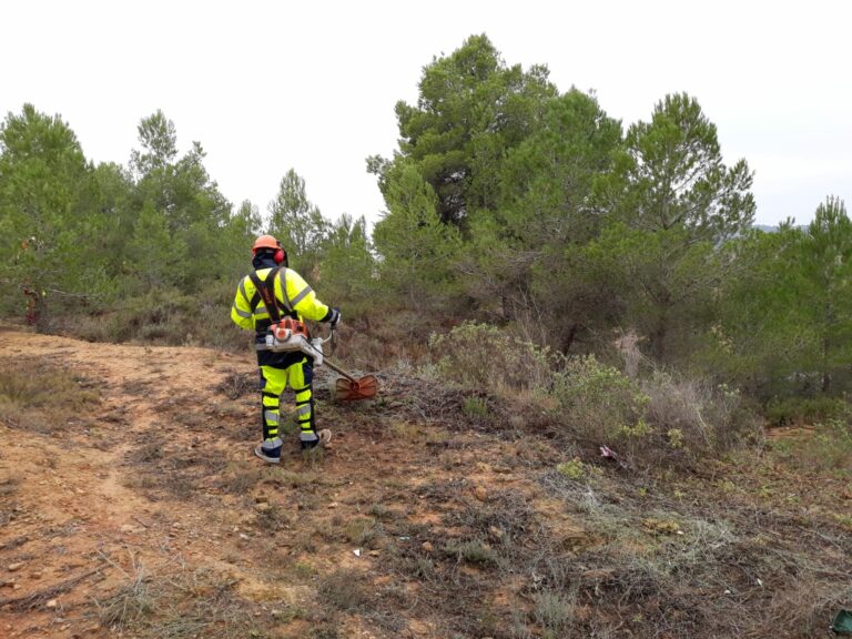 La Diputació i els Consells Comarcals posen en marxa una nova edició dels plans d’ocupació que donaran feina a 50 persones durant tot un any