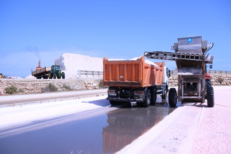 La sequera beneficia la collita de sal del delta de l’Ebre, que podria arribar a les 120.000 tones (vídeo)