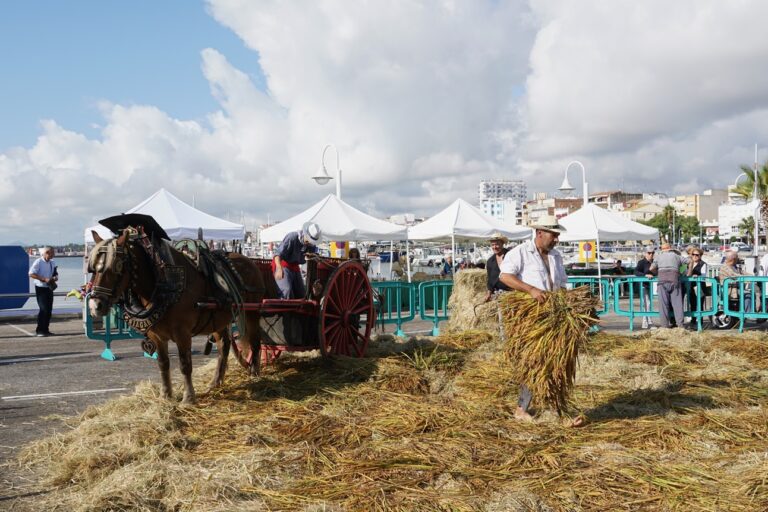L’Ampolla celebra la XXIII Festa de la Sega amb més de 1.500 tiquets de degustació venuts i dona el tret de sortida a les Jornades Gastronòmiques de l’Arròs