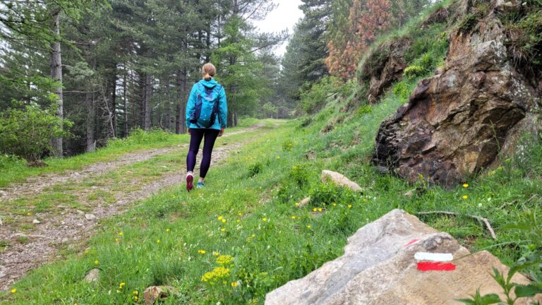 La federació d’excursionistes i Tivissa celebren els 50 anys de la primera marca de senders de gran recorregut