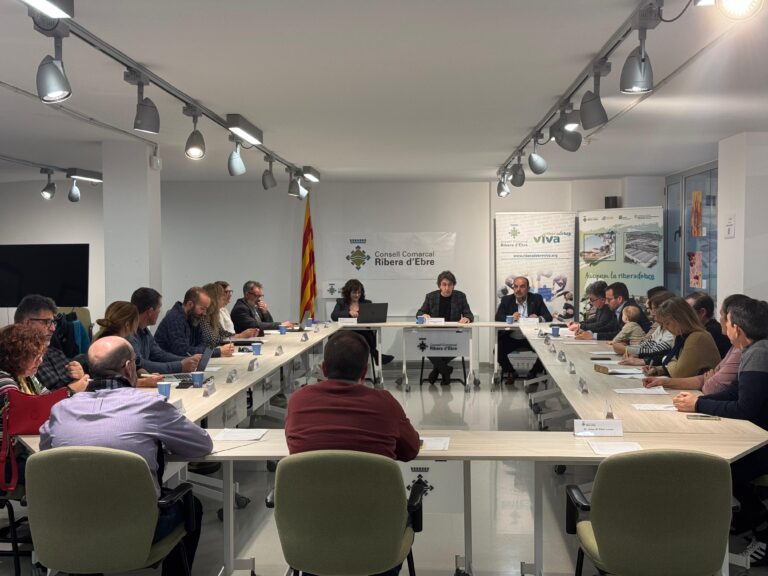 El ple del Consell Comarcal de la Ribera d’Ebre dona llum verda al centre d’animals de companyia i la deixalleria comarcal