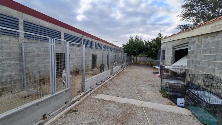 El refugi d’animals de Tortosa ha atès un total de 352 animals de companyia abandonats el 2024