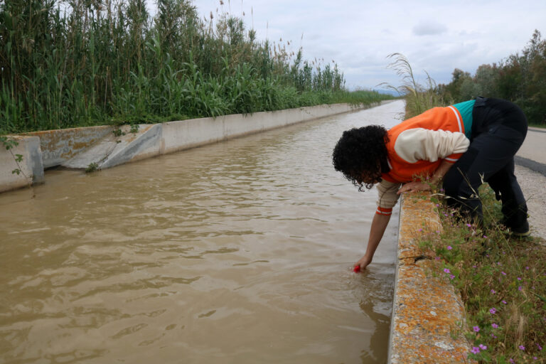 La crescuda controlada de l’Ebre multiplica puntualment per 20 els sediments transportats per la xarxa de reg del Delta (vídeo)