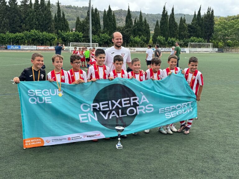 Un total de 48 equips disputaran dissabte, repartits en sis poblacions ebrenques, les finals territorials escolars