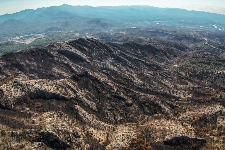 Junts reclama ajuts del 100% per als pagesos afectats per l’incendi de Paüls amb càrrec als fons nuclears