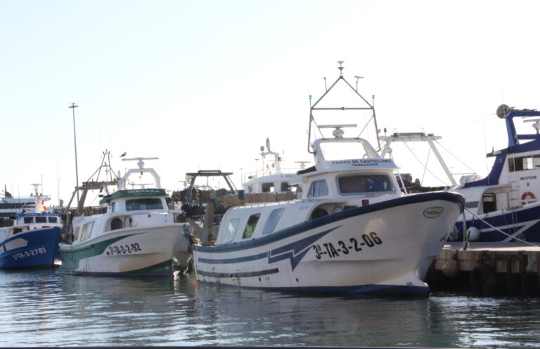 Armadors i mariners de la flota de peix blau de Tarragona arriben a un acord i tornen a pescar