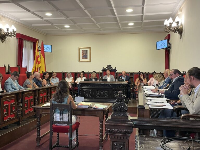 El ple de Tortosa garanteix per unanimitat el finançament per a la compra dels terrenys del nou hospital