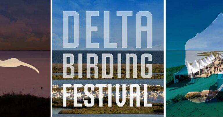 La gran festa de l’ornitologia de Catalunya torna aquest cap de setmana a Amposta